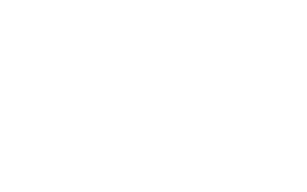 vwc-logo-whi-600x376